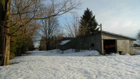 Photo from Nelson Homestead