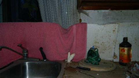 Nelson Homestead - DSCN2939.jpg