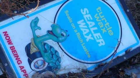 short visit, OPP watching - P1140754.jpg