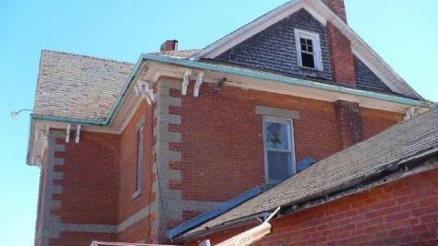 short visit, OPP watching - P1140757.jpg