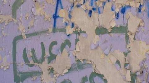 short visit, OPP watching - P1140759.jpg