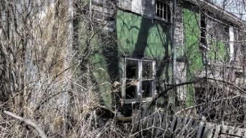 Antique-less photo 2