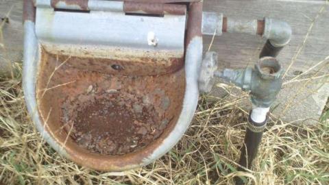 April 2014 - Kuntz-Farm25.jpg