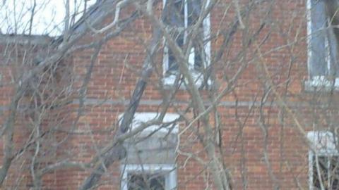 Intact Windows - Tiny, Ontario