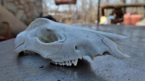 Photo from April2014