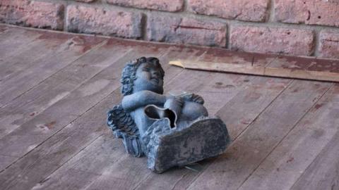 Photo from What's the Buzz