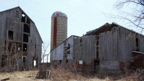 What's the Buzz - More Barns.jpg