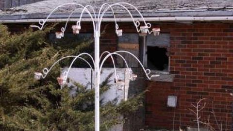 What's the Buzz - Planter.jpg