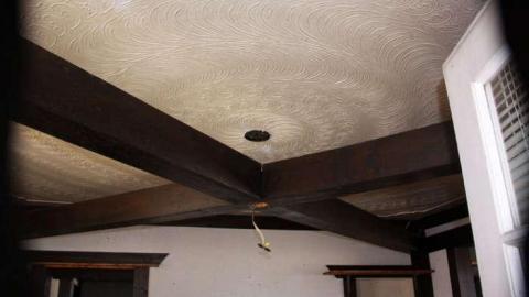 What's the Buzz - Saxon Influence.jpg