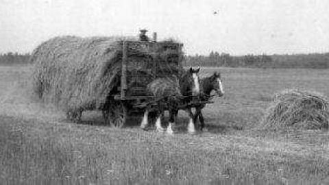 Gallery - Burwash-Correctional-Prison39.jpg