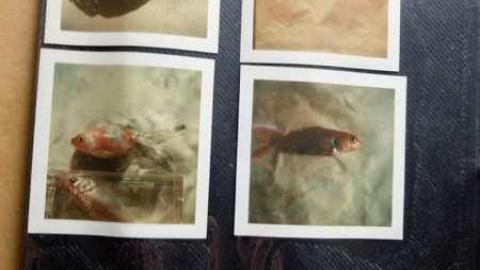 April2014 - DSCF5305.jpg