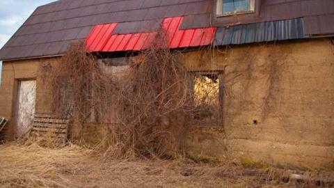 Photo from April 2014