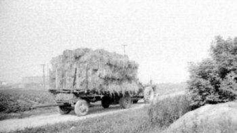 Gallery - Burwash-Correctional-Prison40.jpg