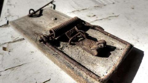 Cross Contamination - 6.jpg