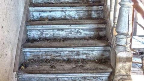 Cross Contamination - 8.jpg