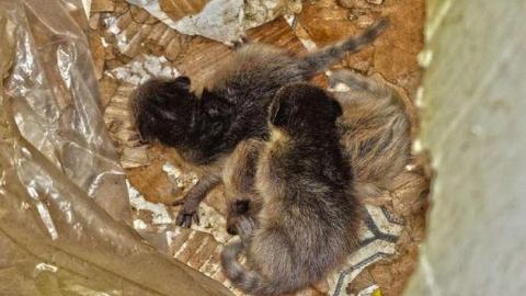 Cross Contamination - 12.jpg