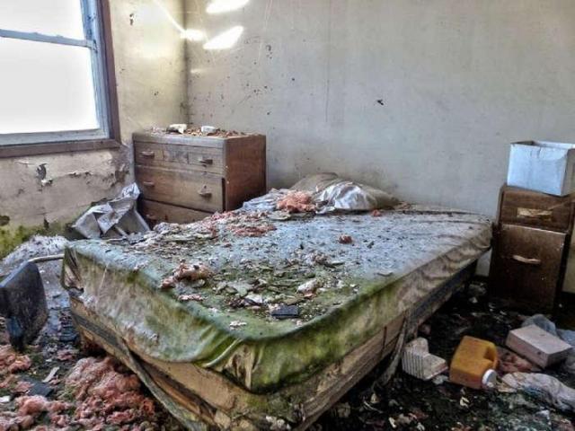 Biohazard In Effect photo 2