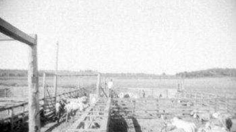 Gallery - Burwash-Correctional-Prison42.jpg