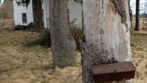 Photo from April2014