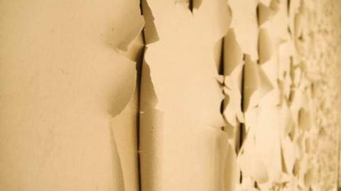 Dave's - fpimage.jpg