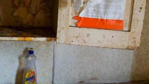 Dave's - zwimage.jpg