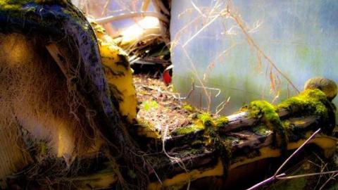 Dave's - yoimage.jpg