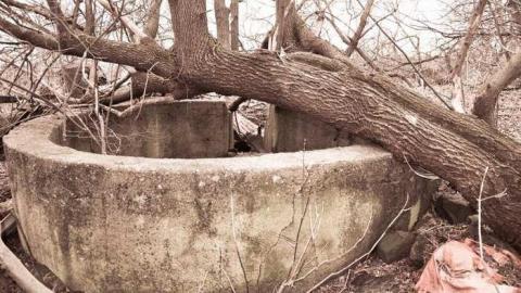 Waste - Mt-Wolfe-Farm132.jpg