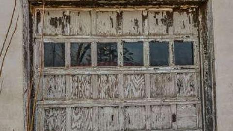 Nice Walk Spoiled - brampton extras-3063.jpg