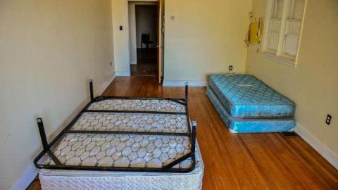 Nice Walk Spoiled - brampton extras-3044.jpg