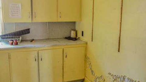 Nice Walk Spoiled - brampton extras-3058.jpg