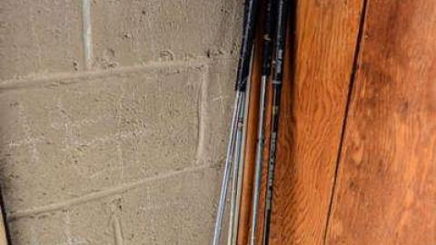 Nice Walk Spoiled - brampton extras-3061.jpg