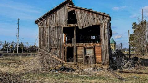 Nice Walk Spoiled - brampton extras-3066.jpg