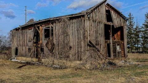 Nice Walk Spoiled - brampton extras-3067.jpg