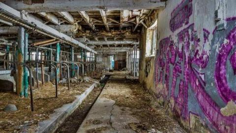 Do Not Enter - Hurontario-Street200.jpg