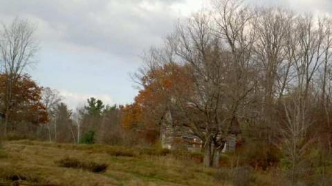 Legendary Road Swallowed Whole photo 2