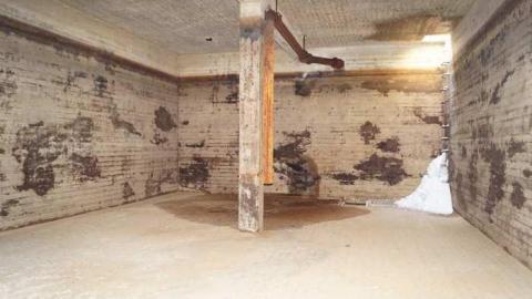 Edgars Bunker - CFB-Edgar309.jpg