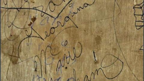 Faux Fire - 07 - IMG_2217b.jpg