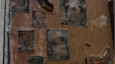 Faux Fire - 09 - IMG_2212-2.jpg