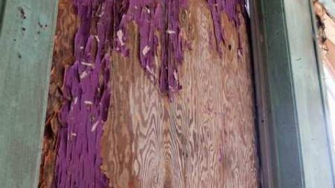 April2014 - DSCF5227.jpg