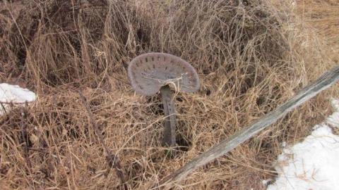 Photo from Lots of stuff just no people