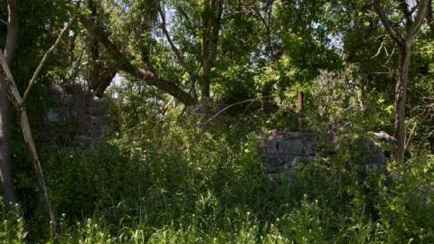 Modern Farming - Yesterdays-Farm12.jpg