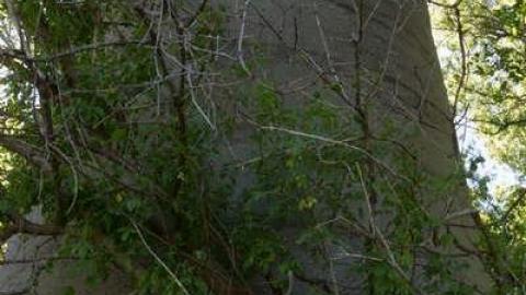 Modern Farming - Yesterdays-Farm14.jpg