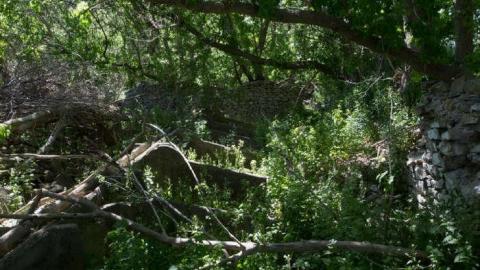 Modern Farming - Yesterdays-Farm13.jpg