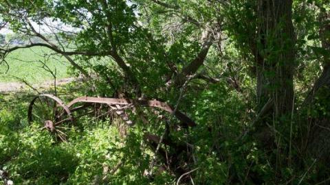 Modern Farming - Yesterdays-Farm22.jpg