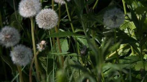 Modern Farming - Yesterdays-Farm10.jpg