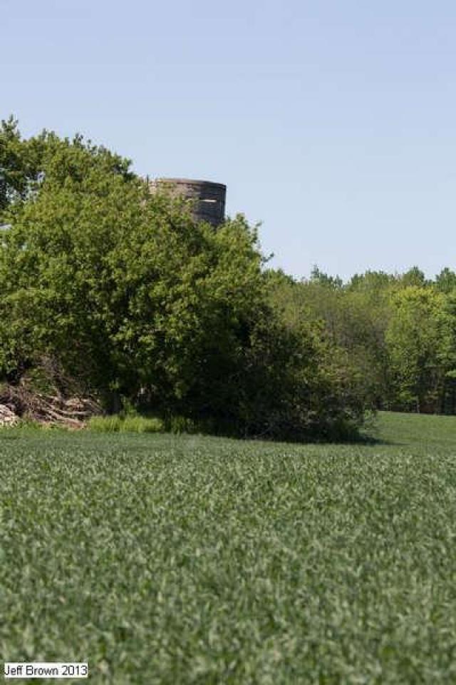 Yesterdays Farm photo 3