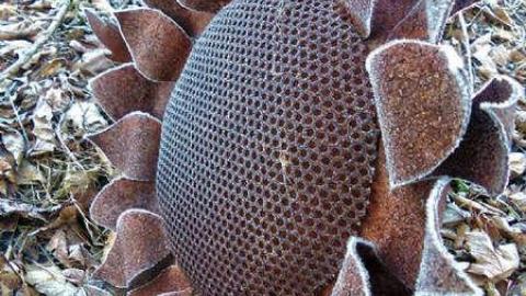 Photo from Stay Frosty