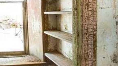 Colourful - XD5A0047.jpg