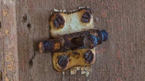 Colourful - XD5A0050.jpg