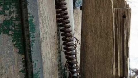 Colourful - XD5A0066.jpg